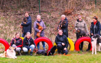Ausstellungstraining beim HSV Geraberg e.V.